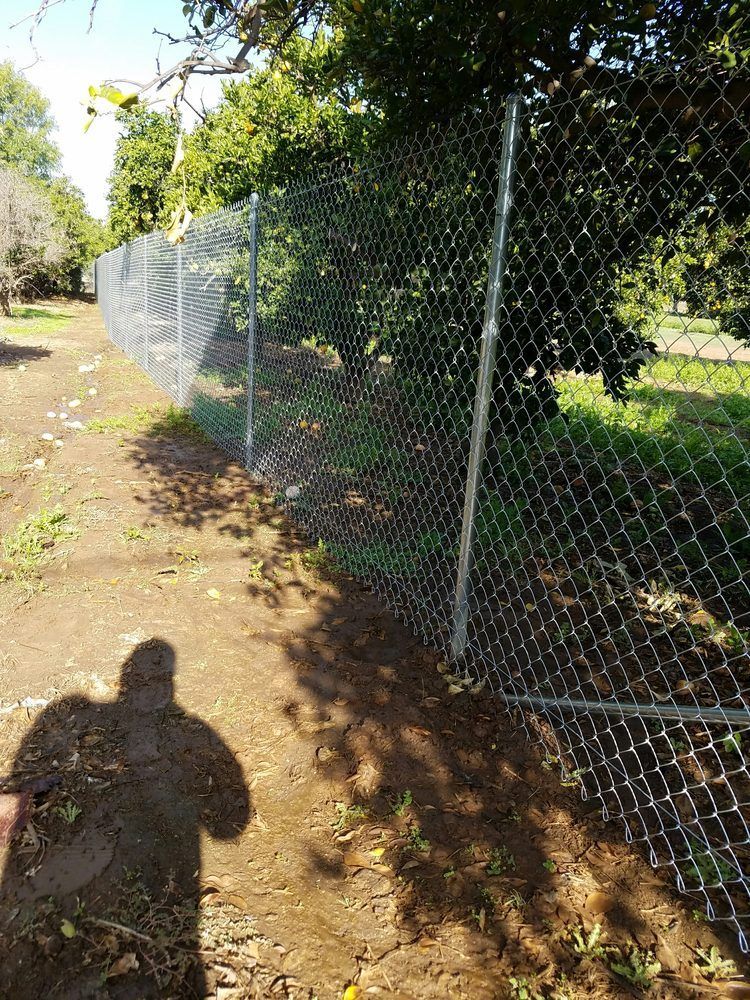 Chain-link fence beside a dirt path under trees, with sunlight and a person’s shadow in the foreground.