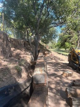 Tree-lined dirt path with a stone retaining wall and a yellow excavator on the right
