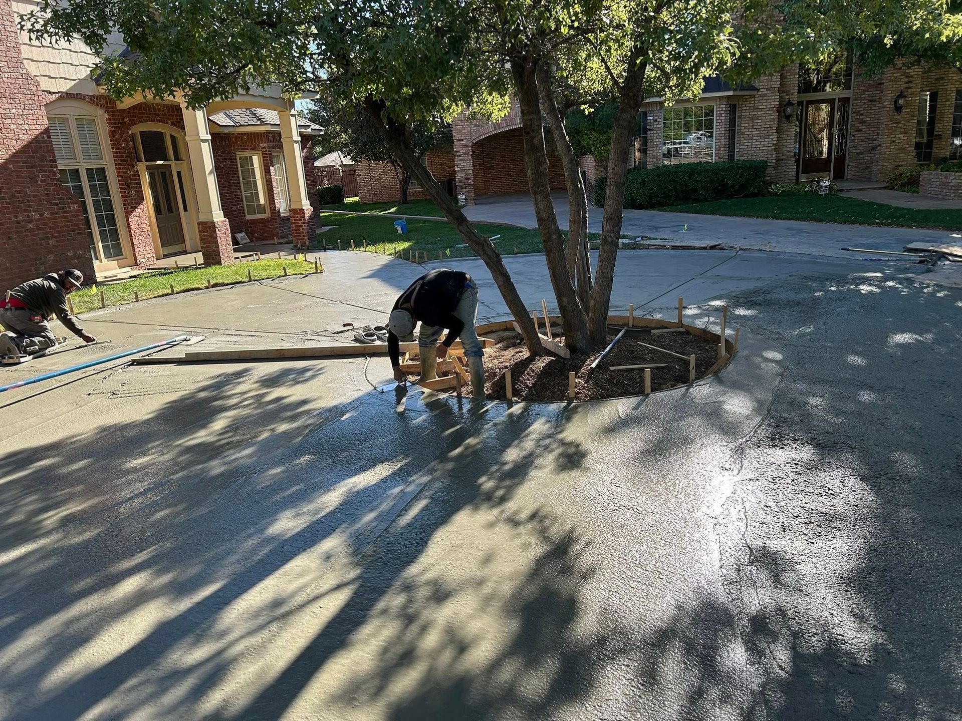 Person using a hose to spray water around a tree in a residential driveway, with sunlight and shadows.