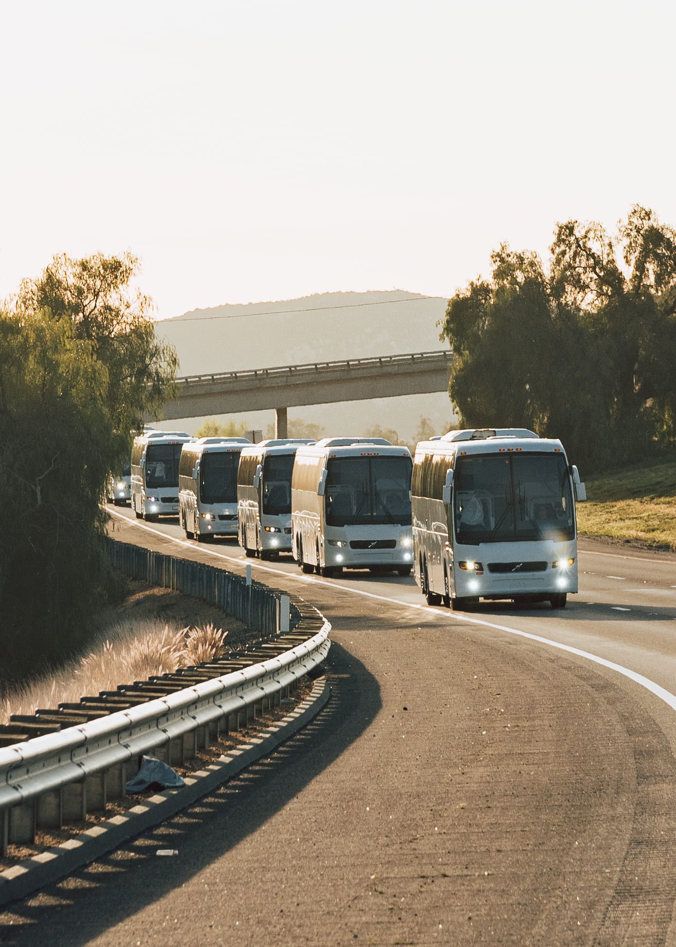 Buses on their way to Coachella 2024 carrying excited festival-goers