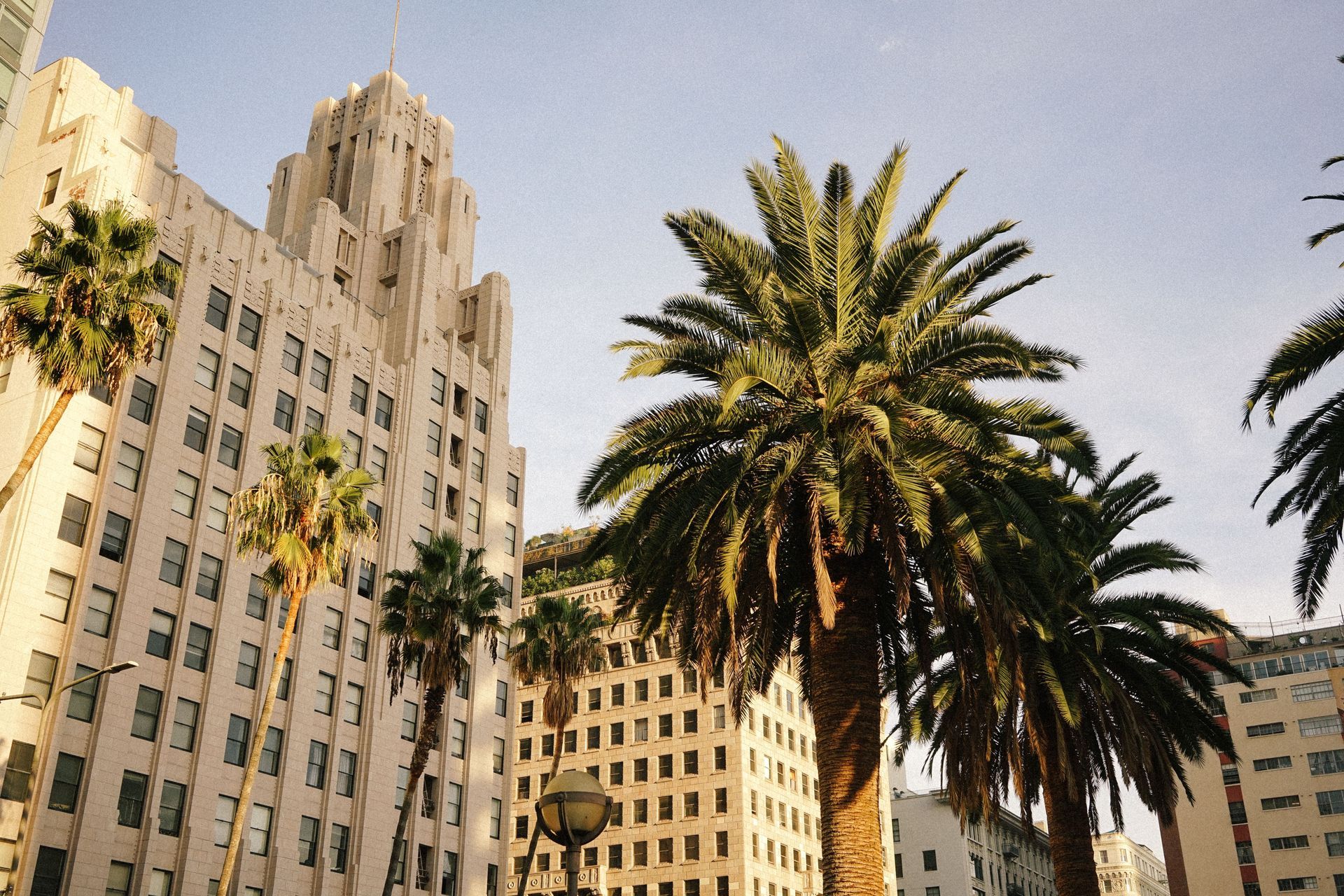 Los Angeles charter bus rentals for group travel and events