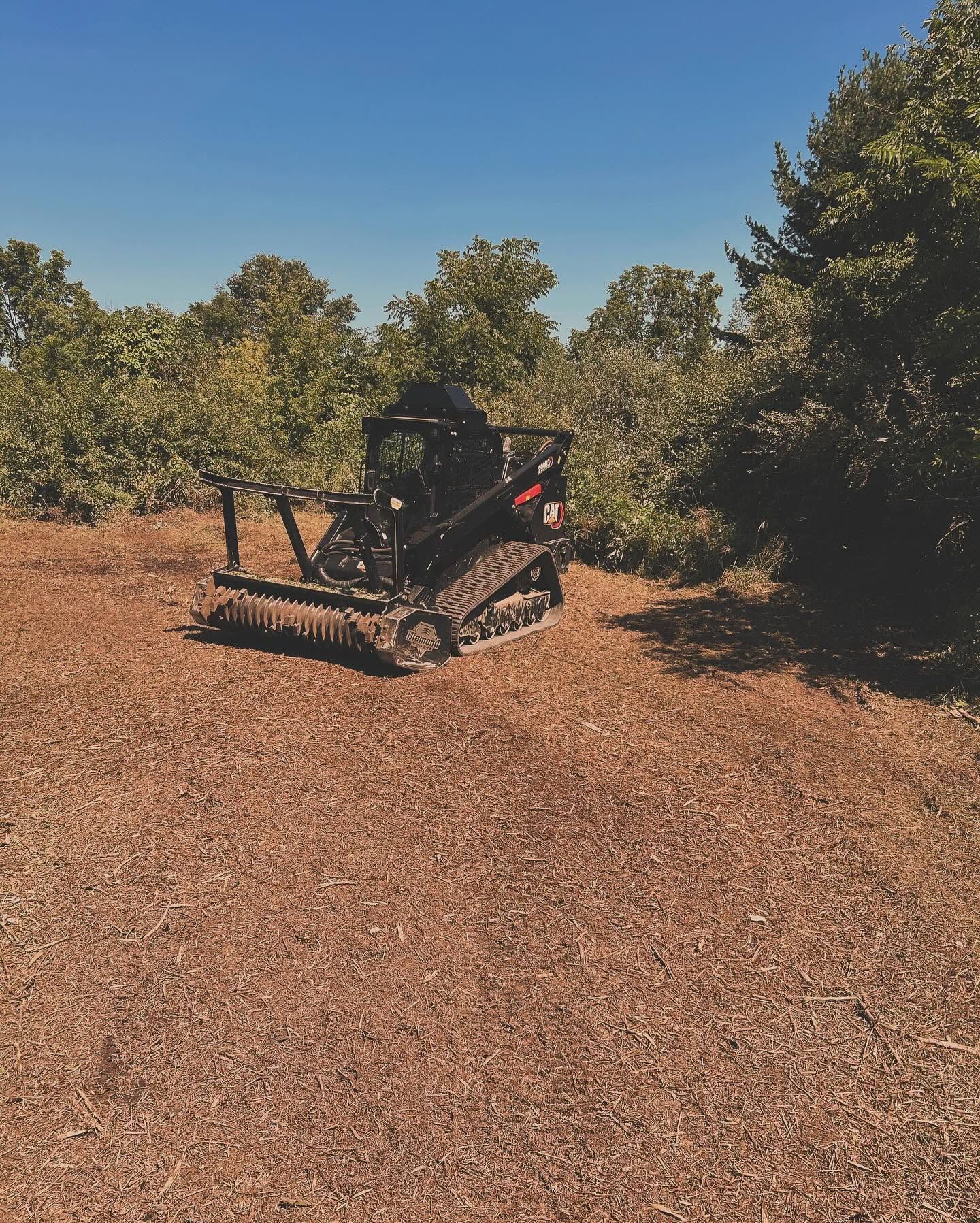 Black off-road vehicle on a dirt trail in a wooded area under clear skies