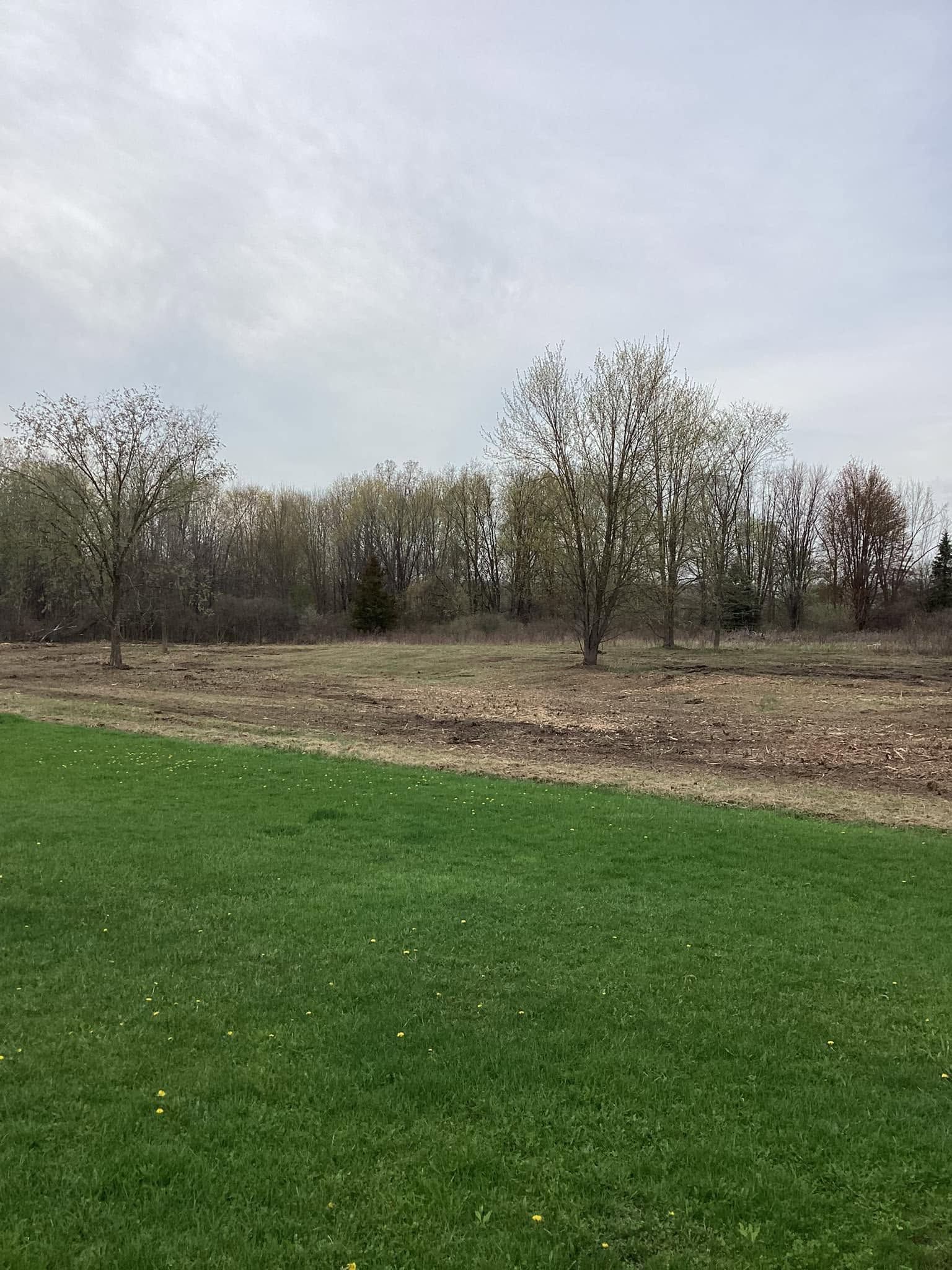 Grassy field with a line of leafless trees under a cloudy sky