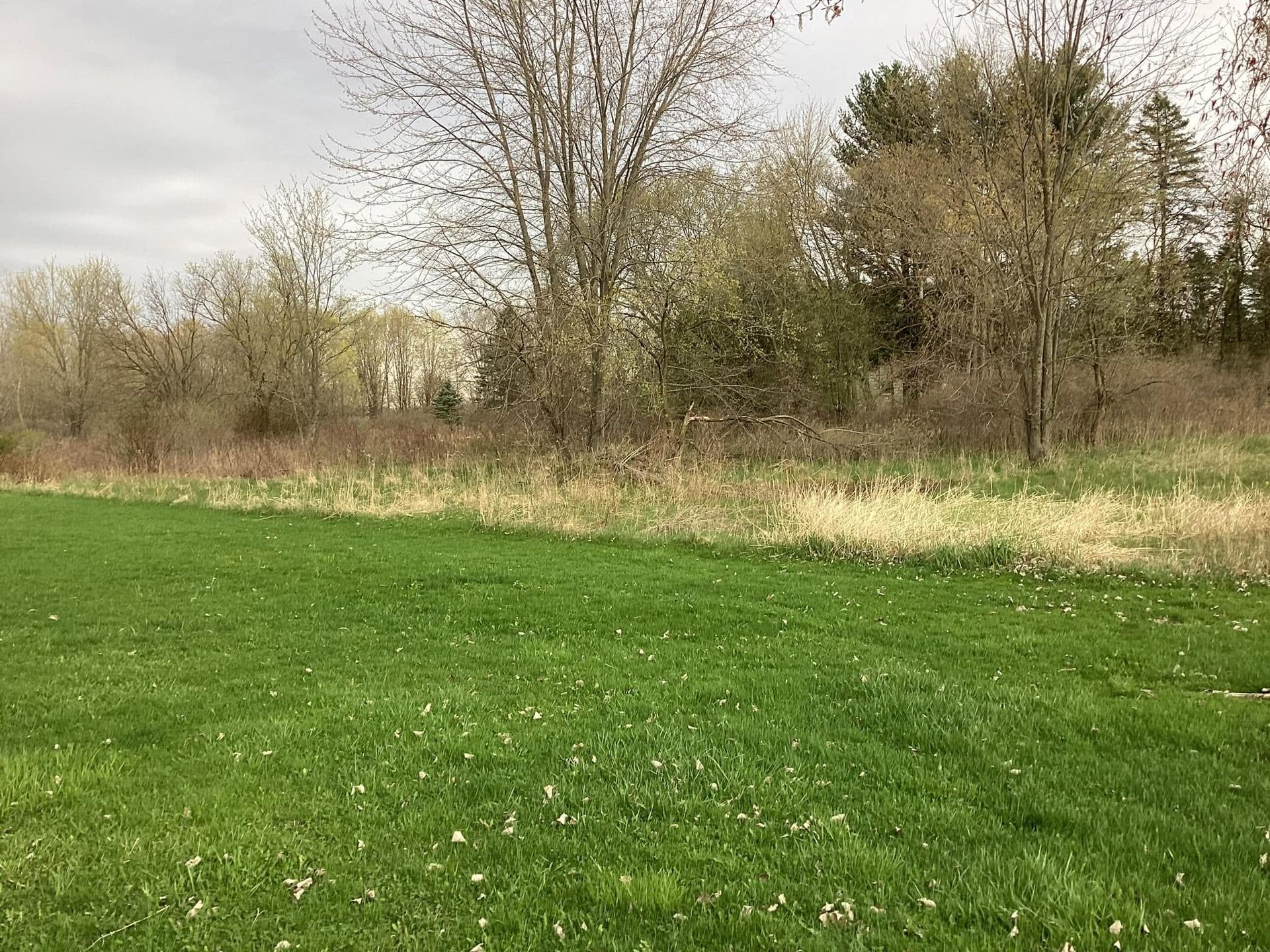 Green grassy field with a line of trees and shrubs under a cloudy sky