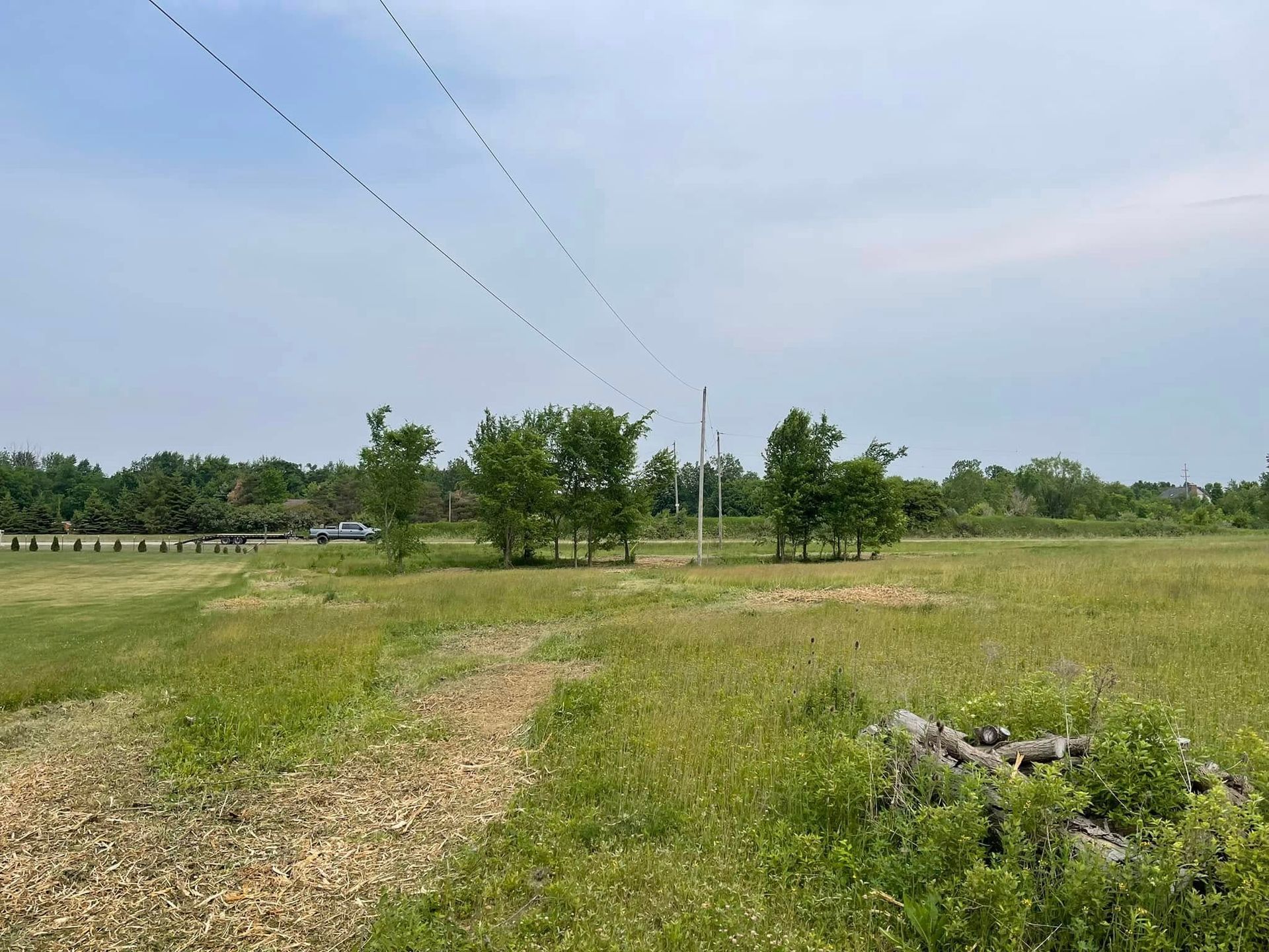 Grassy field with a gravel path, scattered trees, and power lines under a pale blue sky