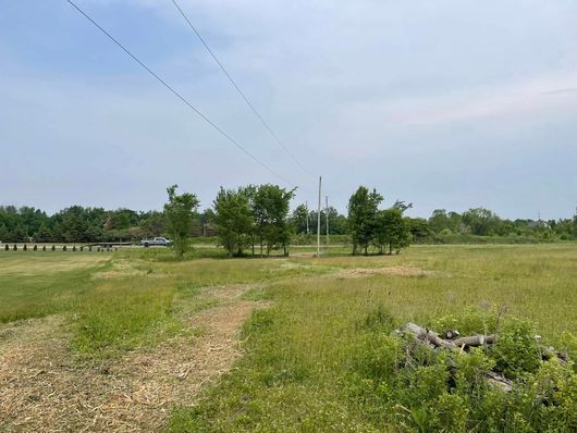 Grassy field with a gravel path, scattered trees, and power lines under a pale blue sky