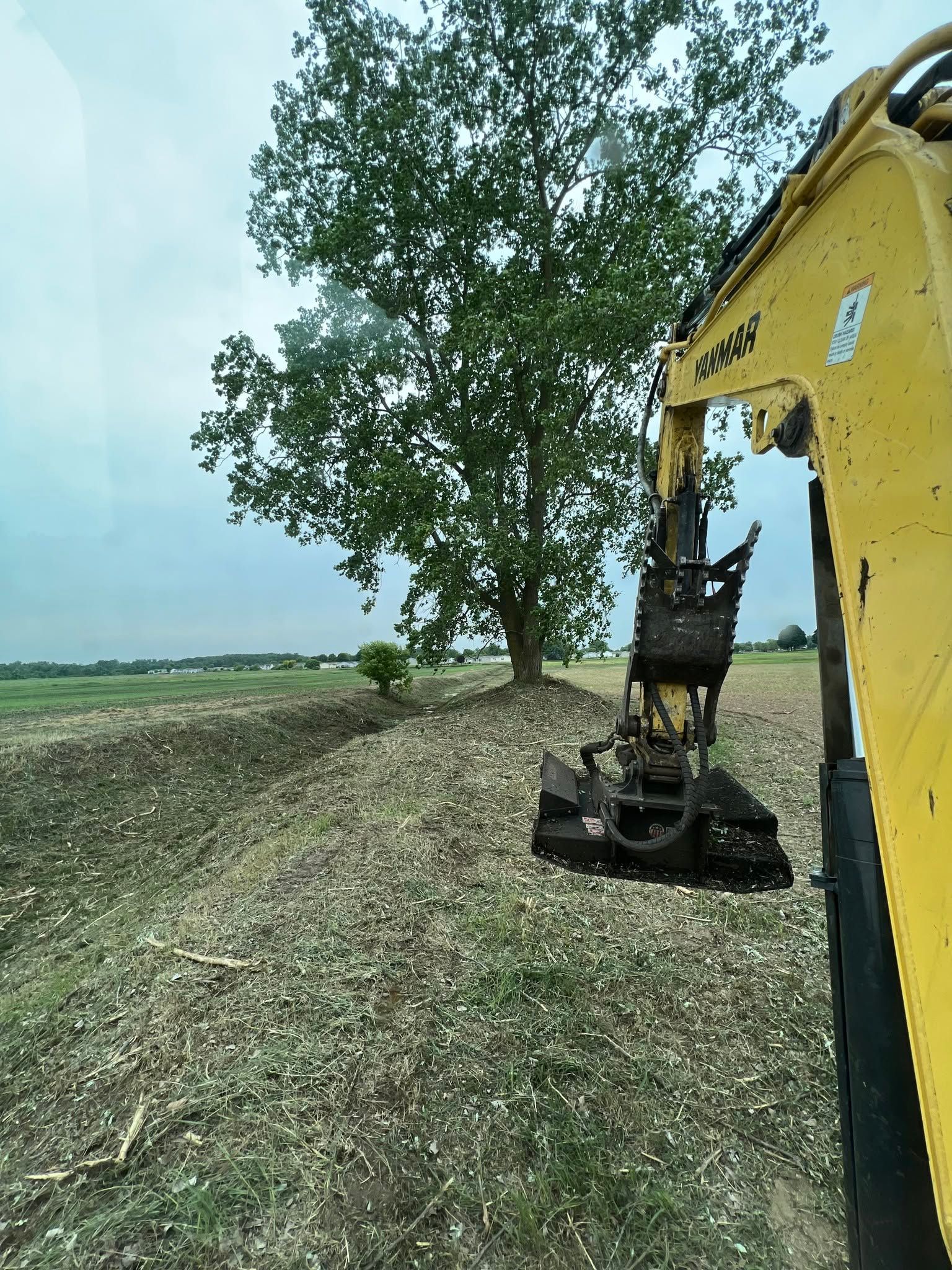 Yellow excavator beside a tree in a muddy field under a cloudy sky