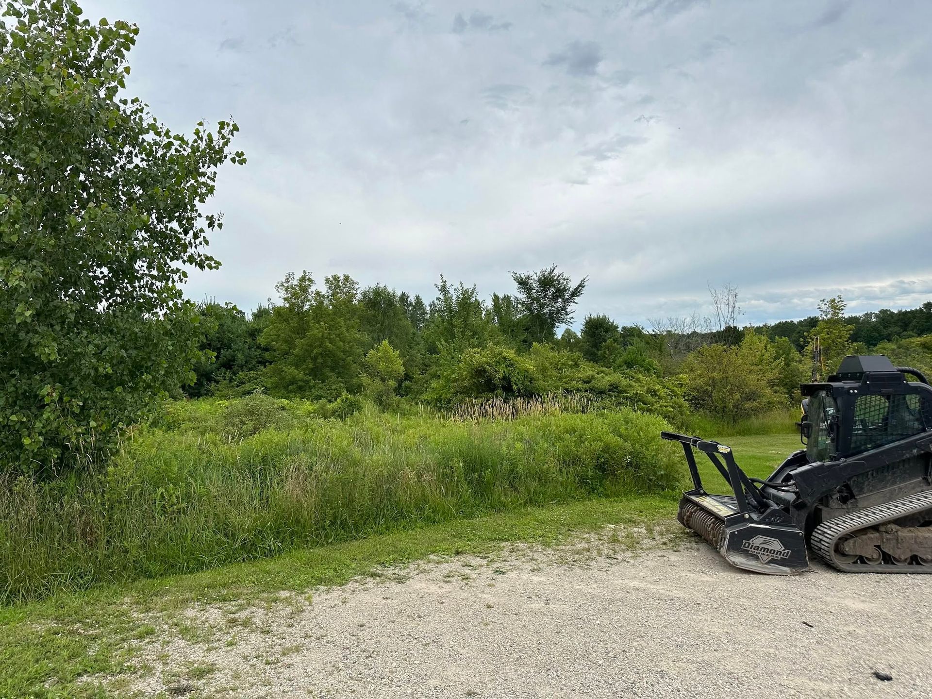 Black skid steer parked on gravel beside green shrubs under a cloudy sky.