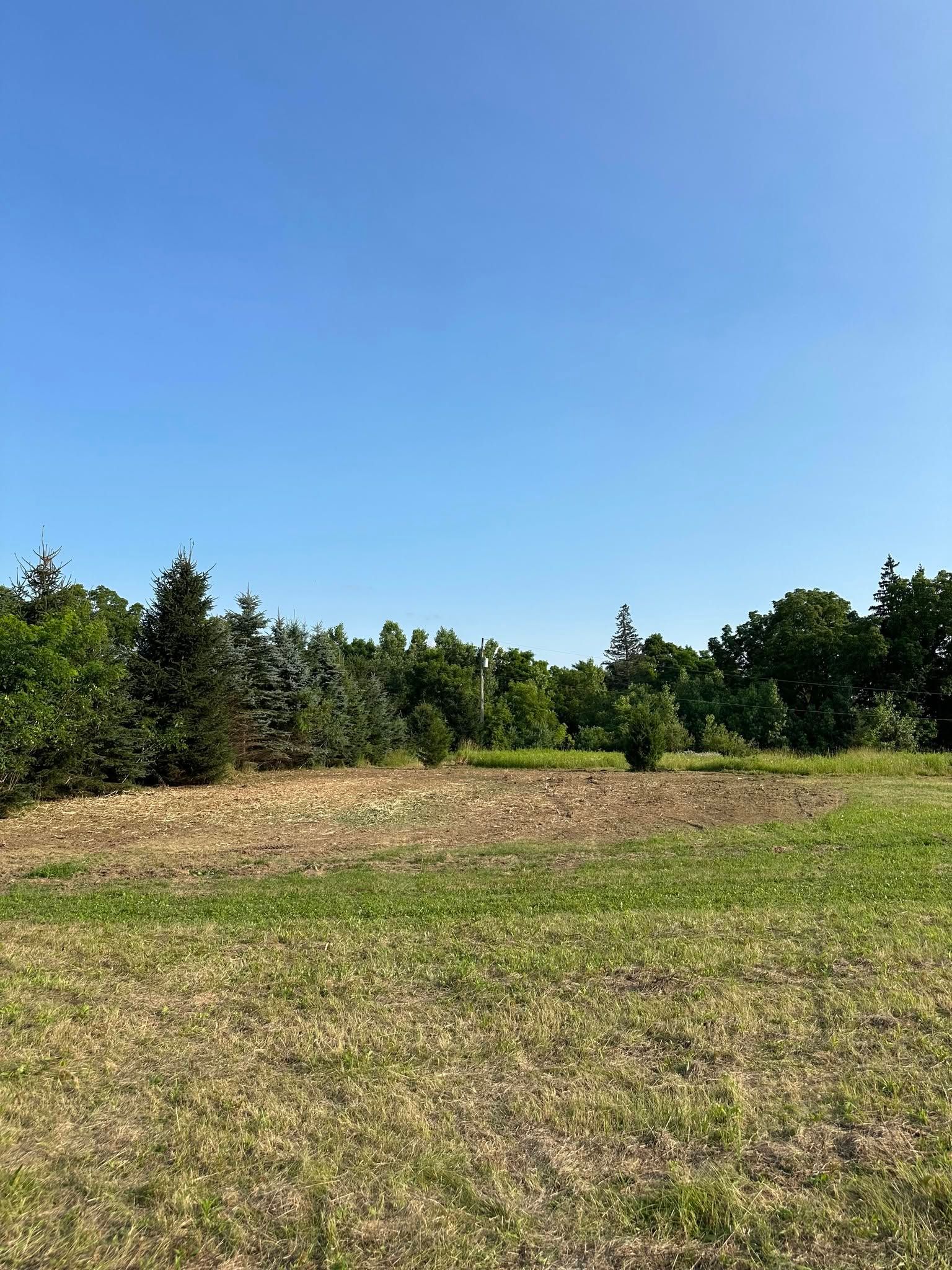 Open grassy field with trees under a clear blue sky