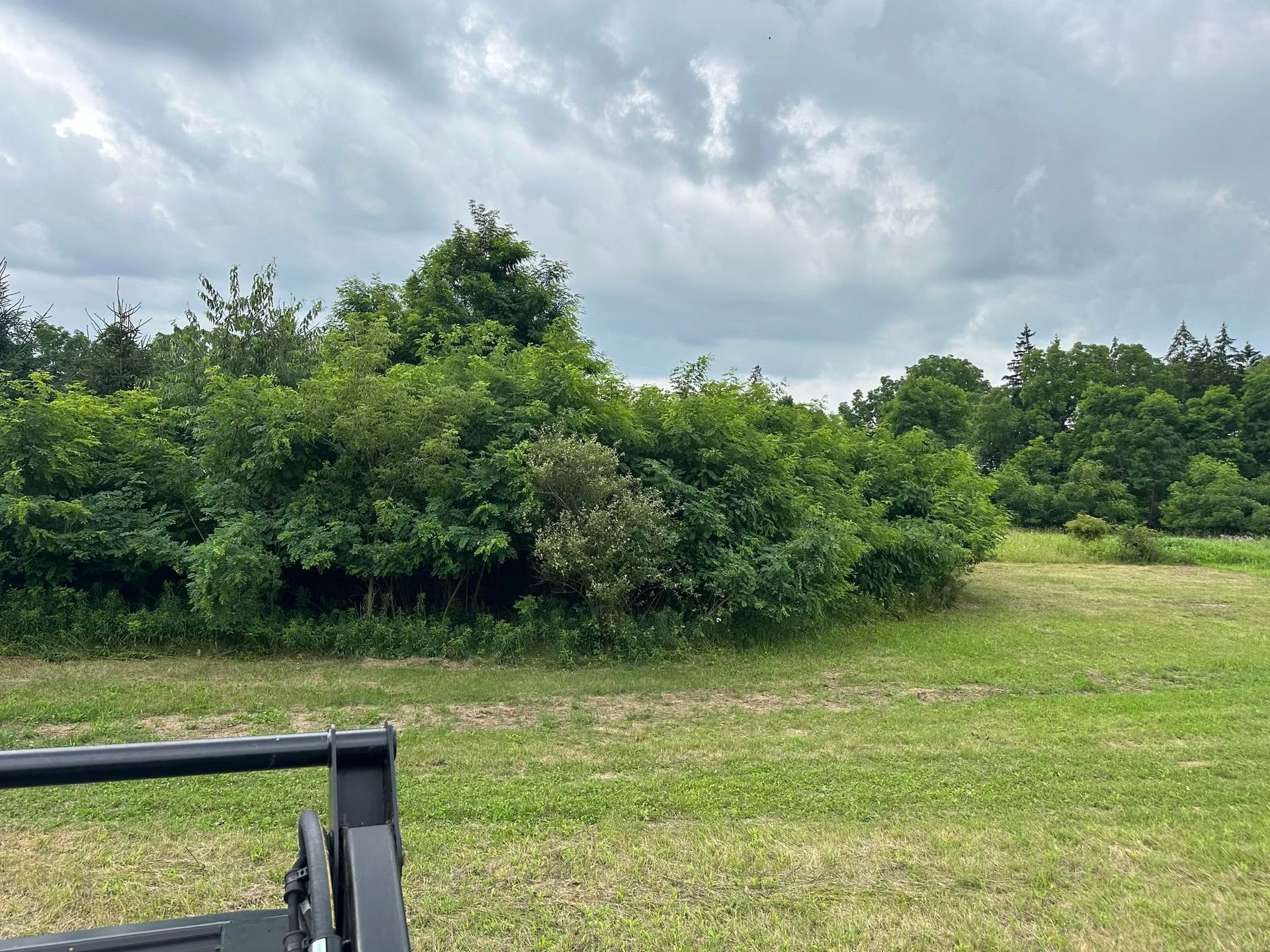 Grassy field with dense green shrubs under a cloudy sky, with a black railing in the foreground