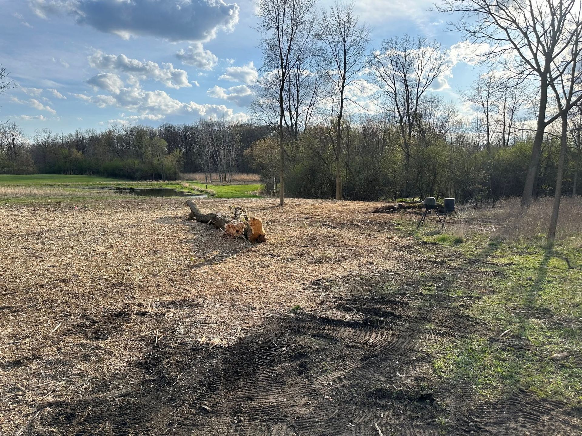 Dog lying on a dirt field under a cloudy sky, with trees and grass in the background
