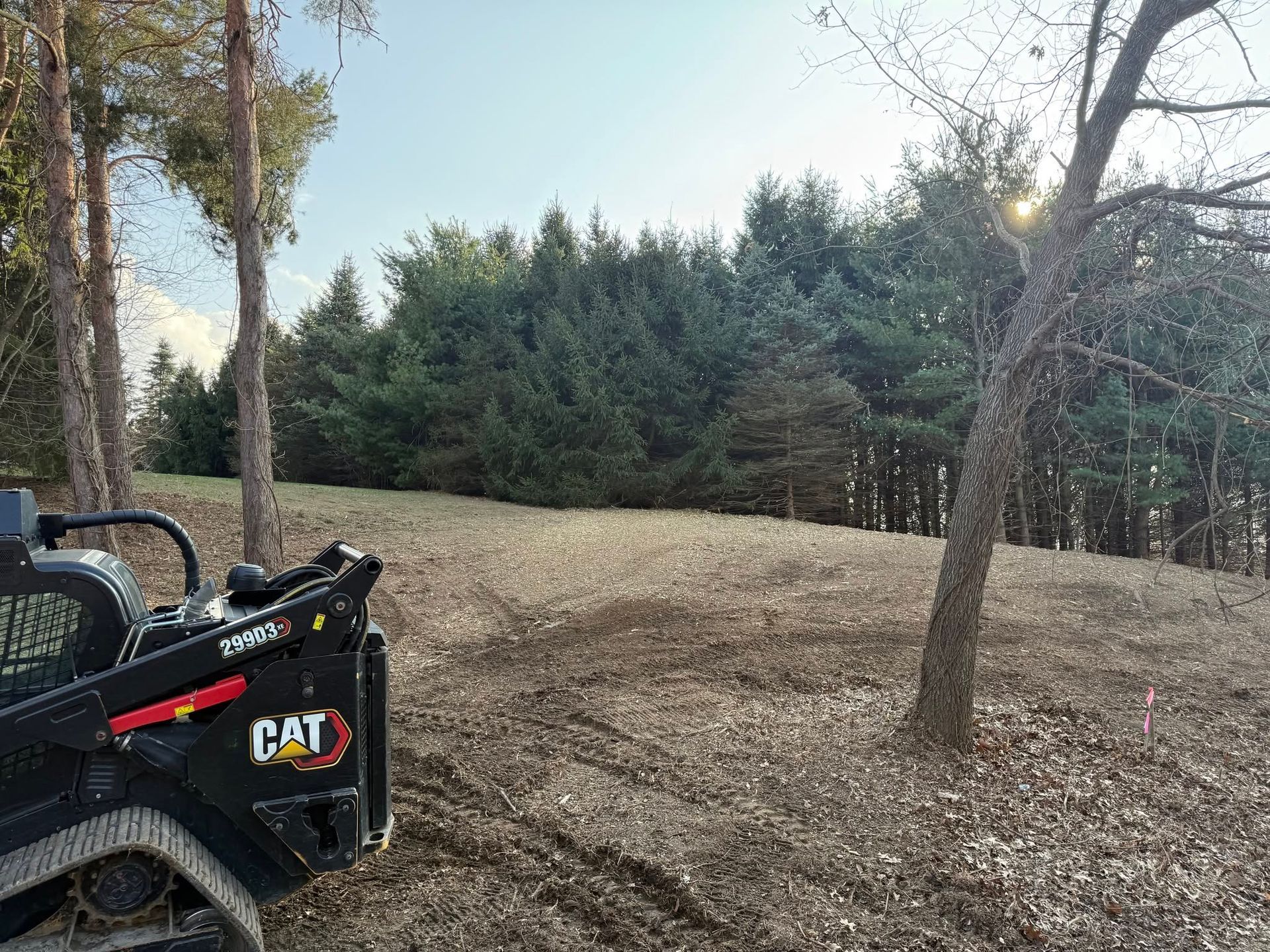 CAT skid steer on a dirt lot beside trees and a pine grove