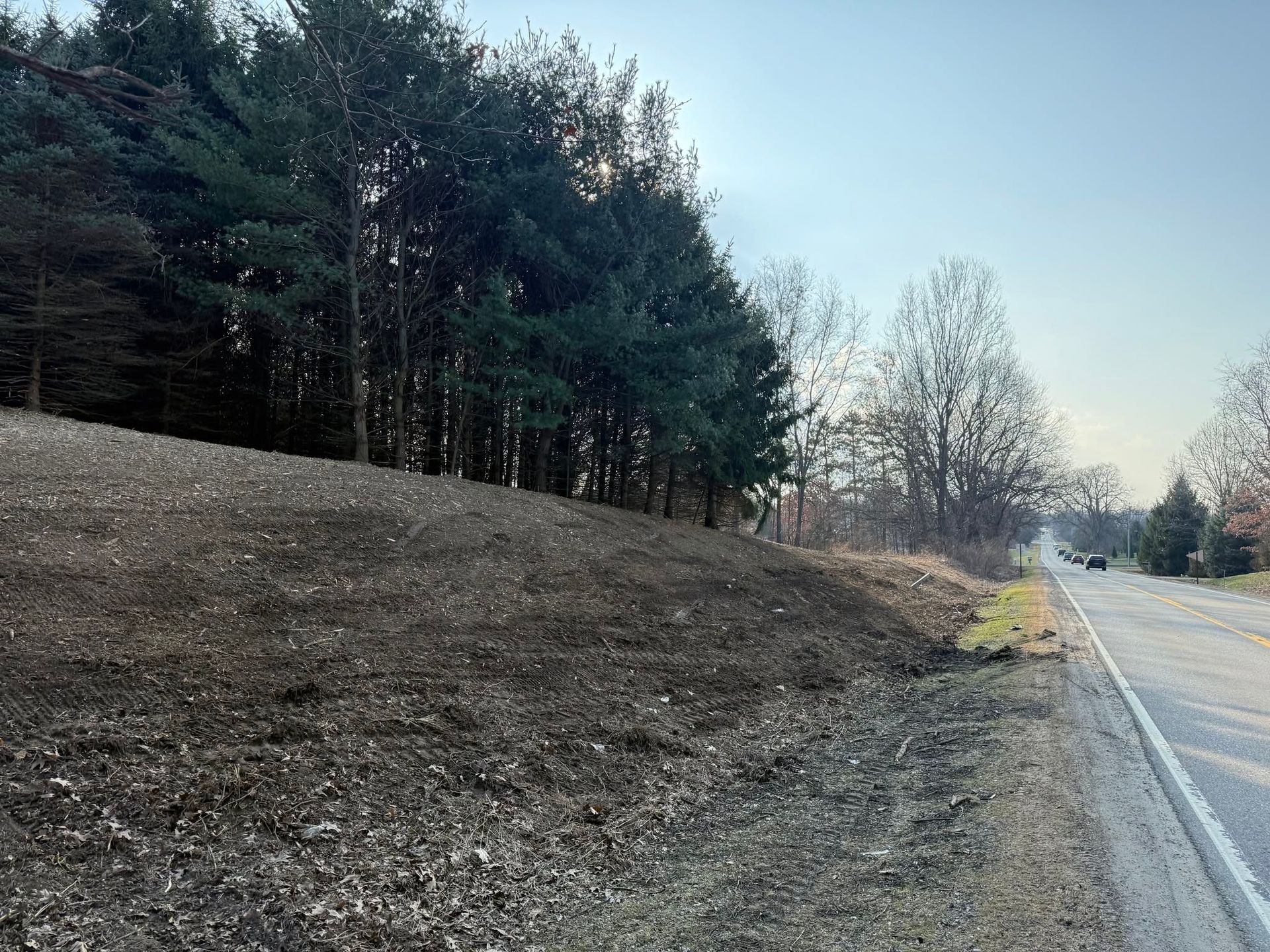 Wooded roadside embankment beside a paved road under a clear sky