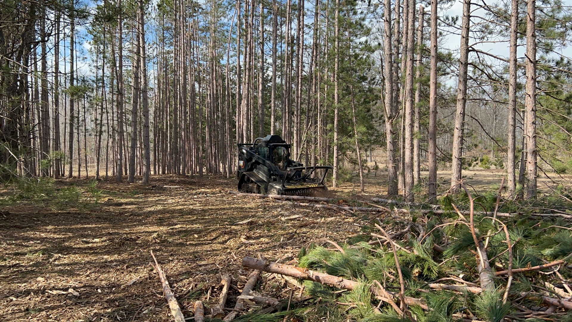 Camouflaged military vehicle in a leaf-covered pine forest clearing