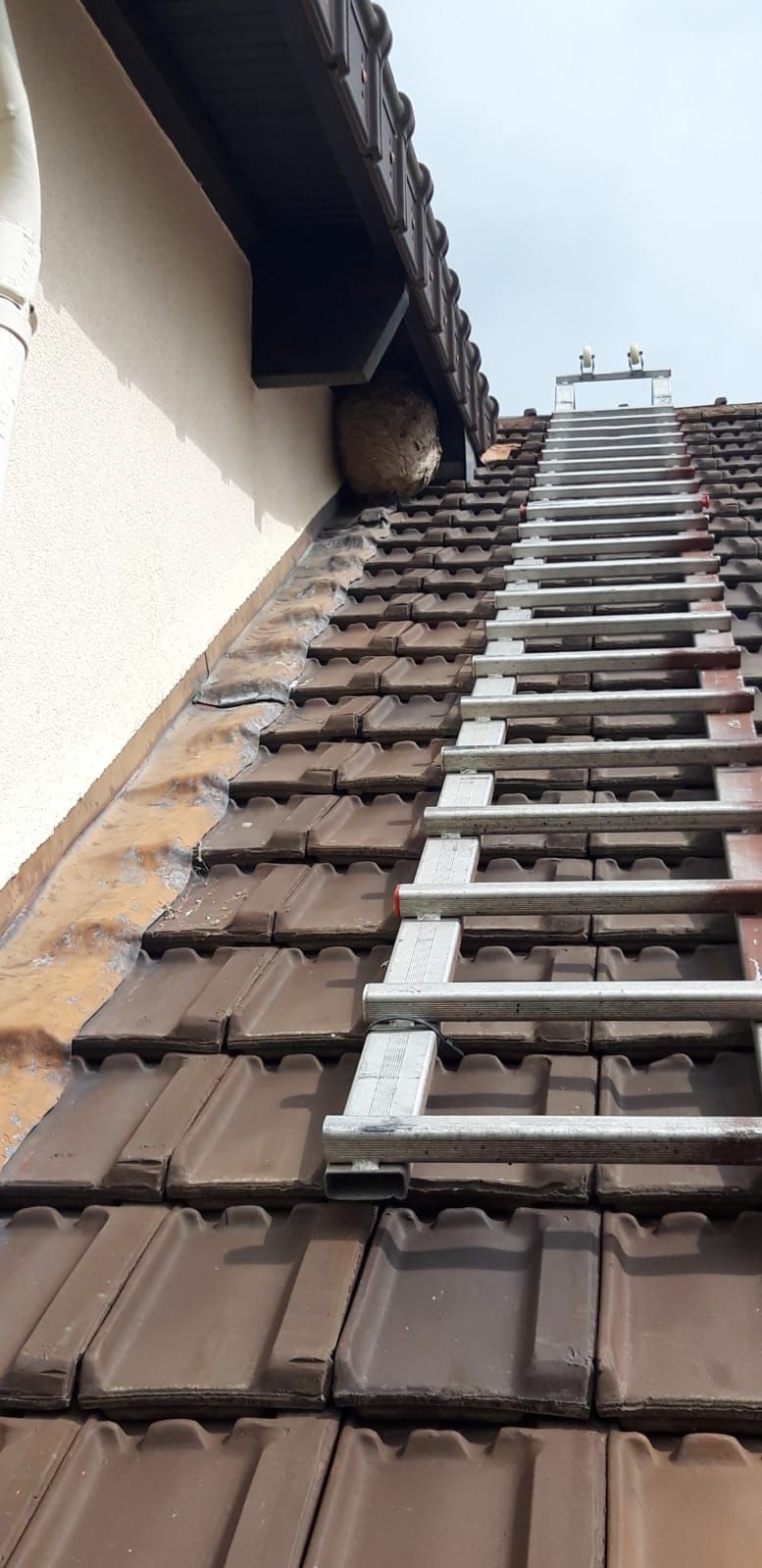 Traitement d'un nid de guêpes sous toiture à Evreux