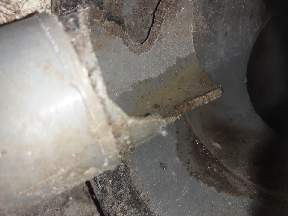 Tuyau de canalisation rongé par un rat à Chartres
