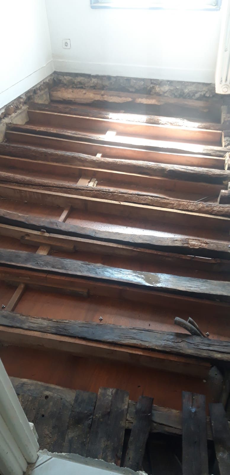 Plancher bois infesté par des vrillettes de bois, bois nu, vieux bois