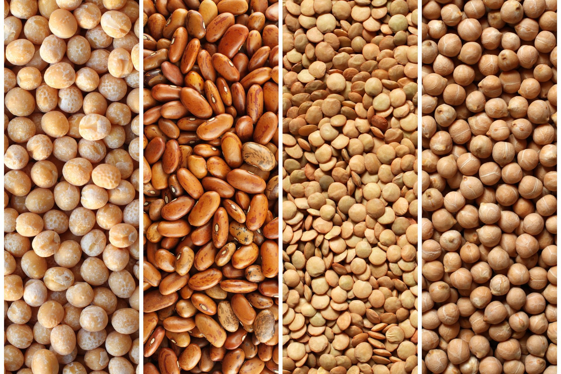 Primo piano di un denso mucchio di piccoli semi o fagioli marroni che riempiono l'inquadratura.