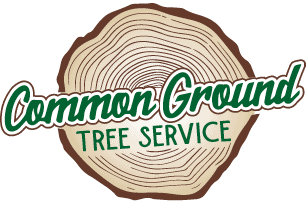 Common Ground Tree Service logo with a tree-ring cross section in brown, green, and white