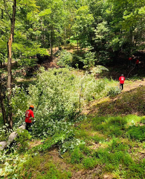 Two people in red shirts walking along a green wooded trail.