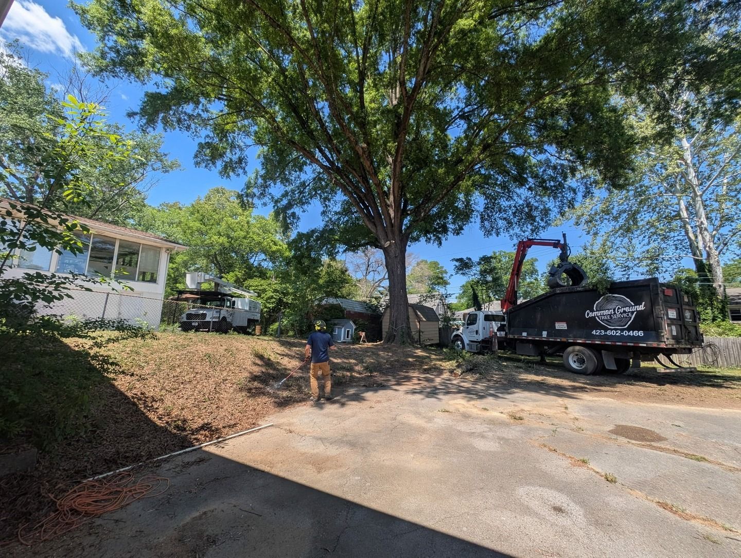 Tree-lined driveway with a person near parked cars and a black tow truck under blue sky