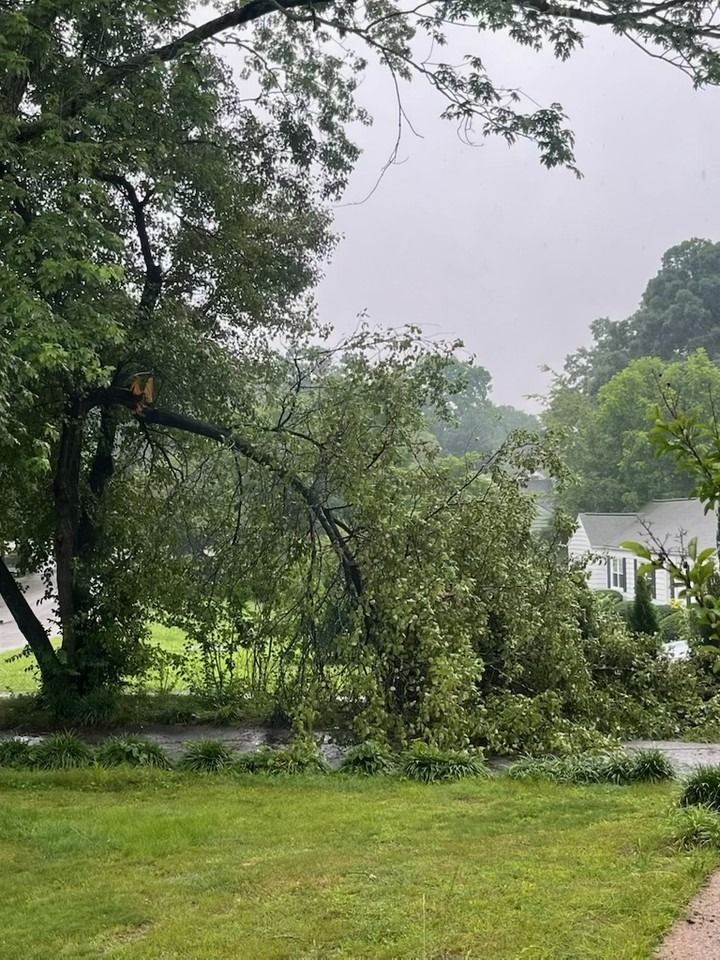 Rain-soaked yard with a fallen tree blocking a wet road, overcast sky and a house in the background