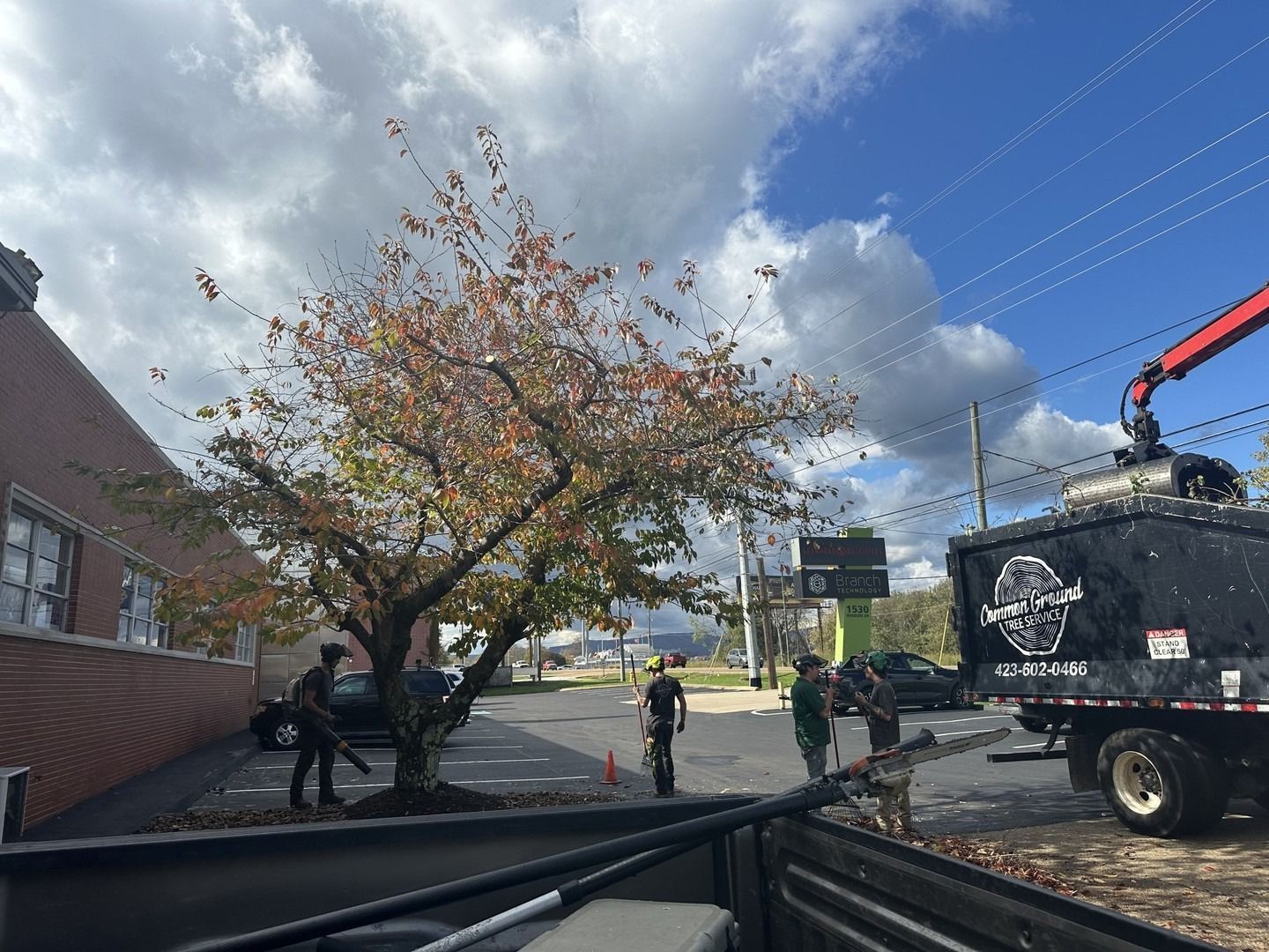 Tree beside a brick building as a utility truck with crane and a worker stand on a sunny street