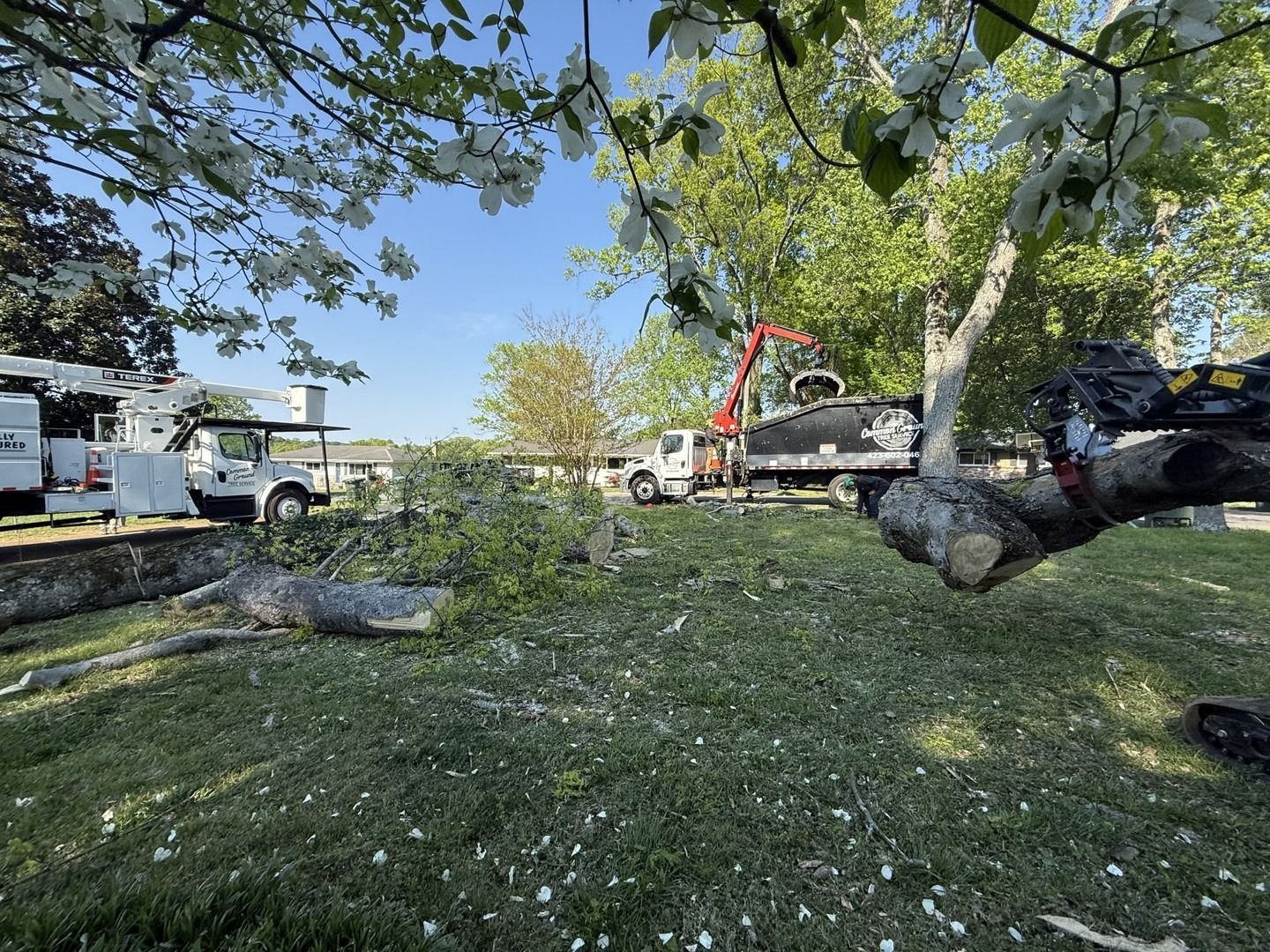 Utility trucks and debris in a grassy yard after a storm, with fallen tree limbs and a crane in the background