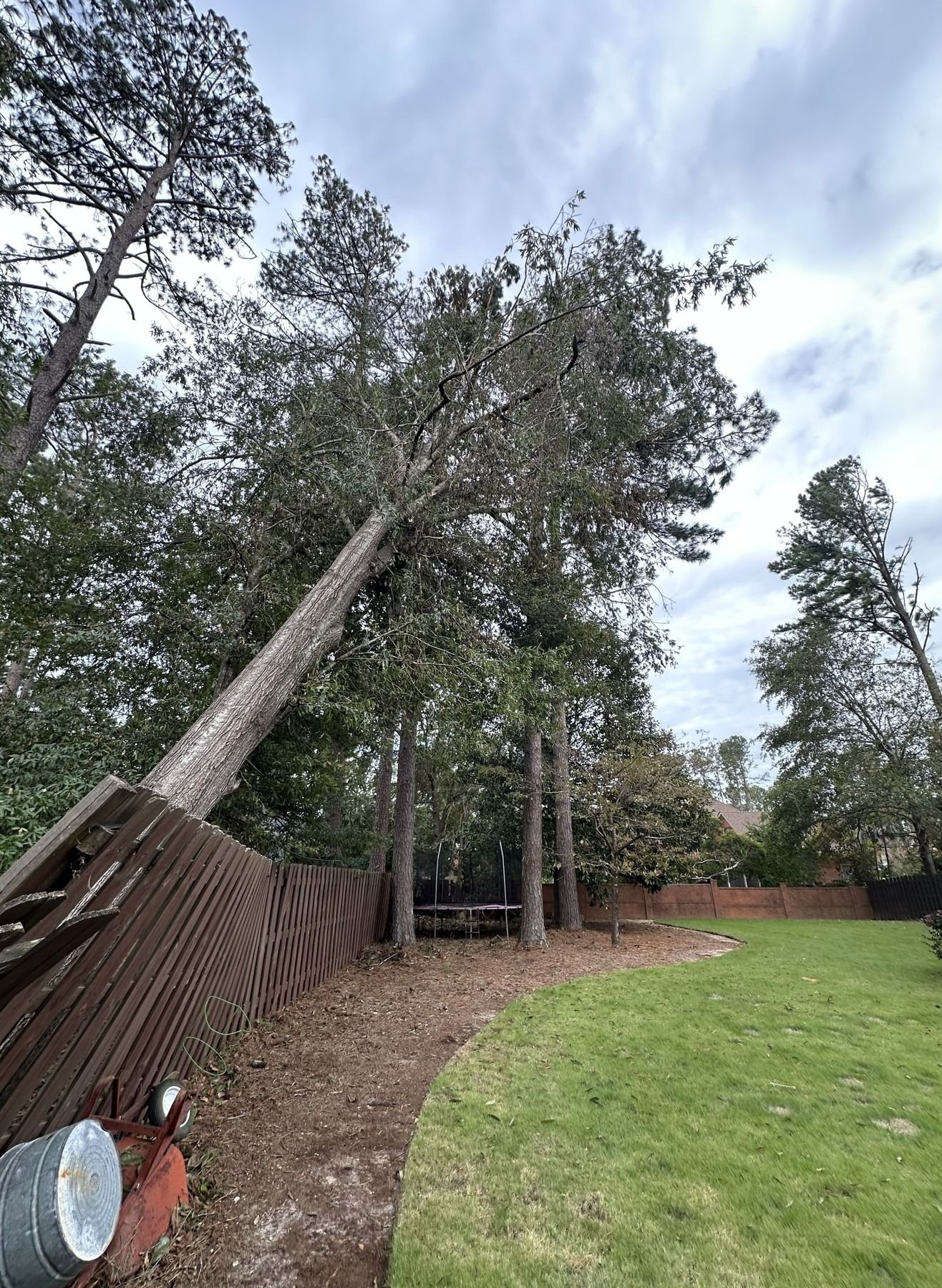 Downed tree leaning on a wooden fence beside a grassy yard under a cloudy sky