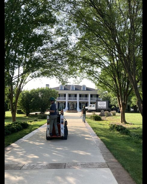 Tree-lined walkway leading to a white house with people on a small cart in the foreground