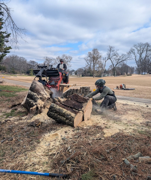 People in camouflage cutting and stacking logs in a wooded outdoor area with a truck nearby