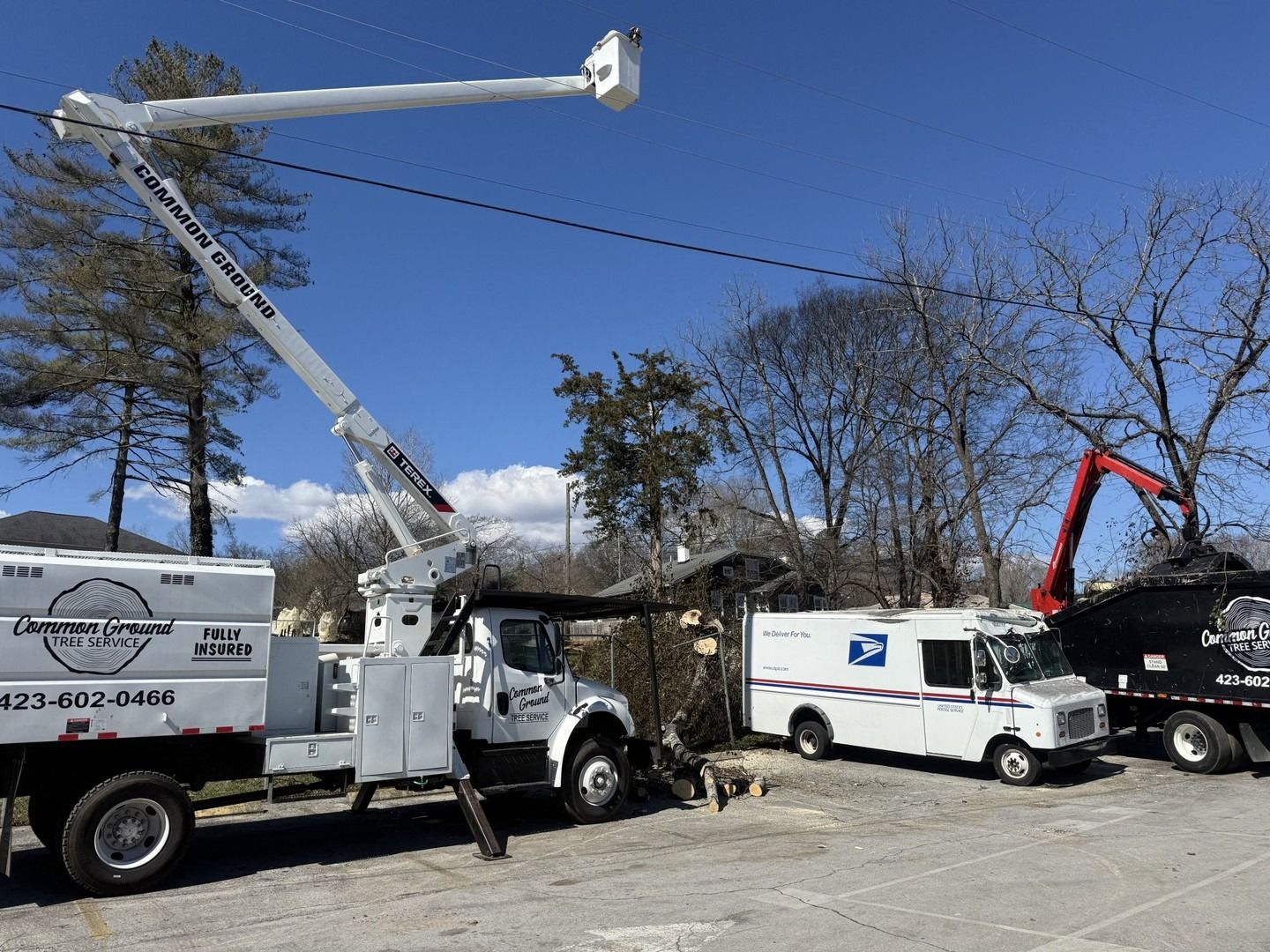 Utility trucks and bucket lift working near damaged trees under a clear blue sky