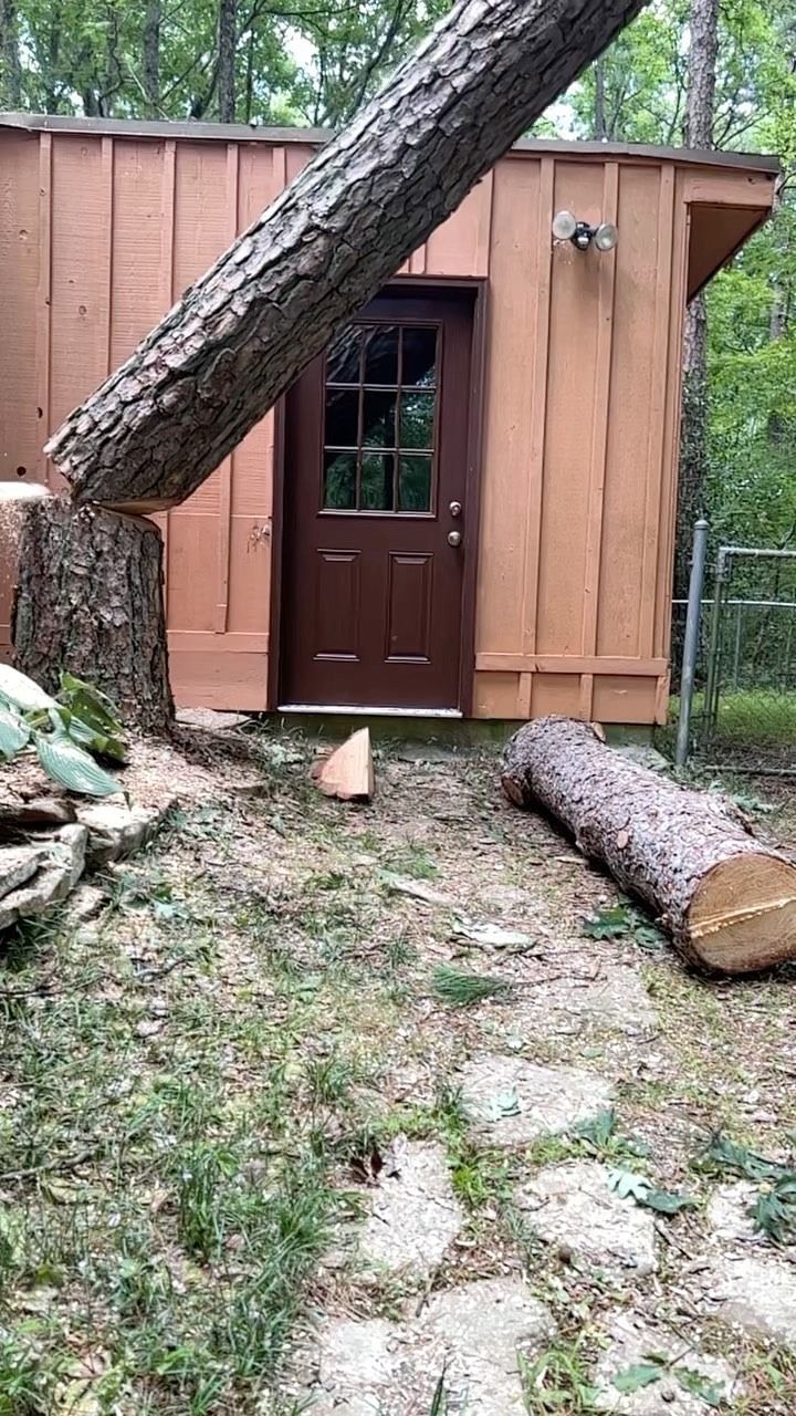 Small wooden shed with a brown door, partly blocked by a fallen tree trunk in a wooded yard.