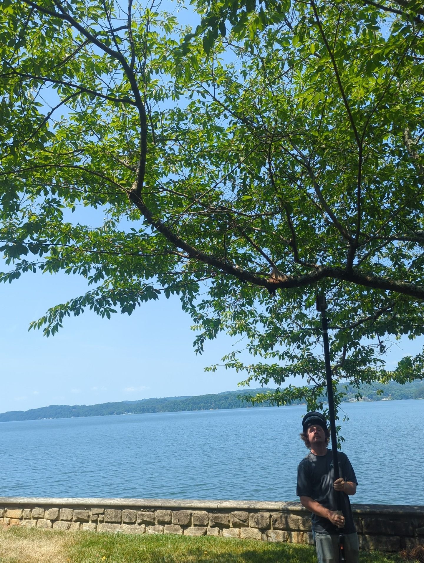 Person standing by a lake under a leafy tree on a sunny day
