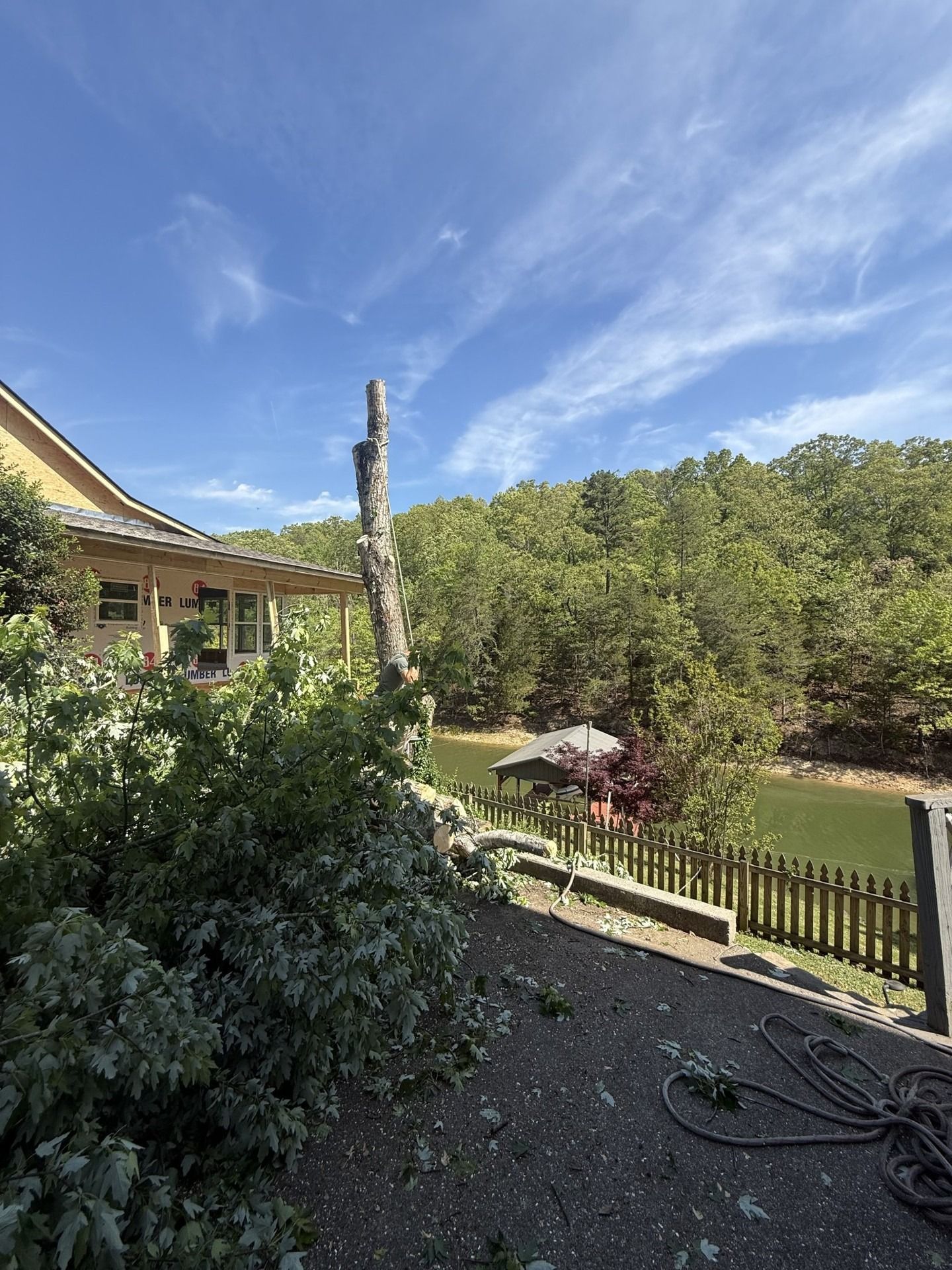 Sunny backyard with a house, wooden fence, trees, and a cleared lawn under a blue sky.
