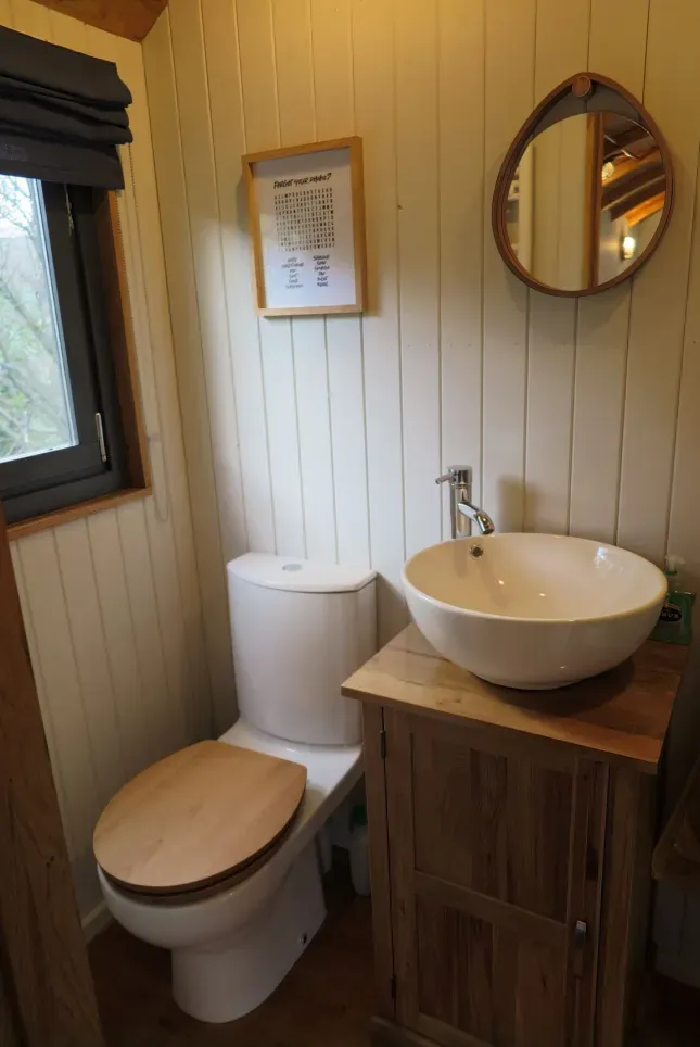 A bathroom with a toilet , sink and mirror.