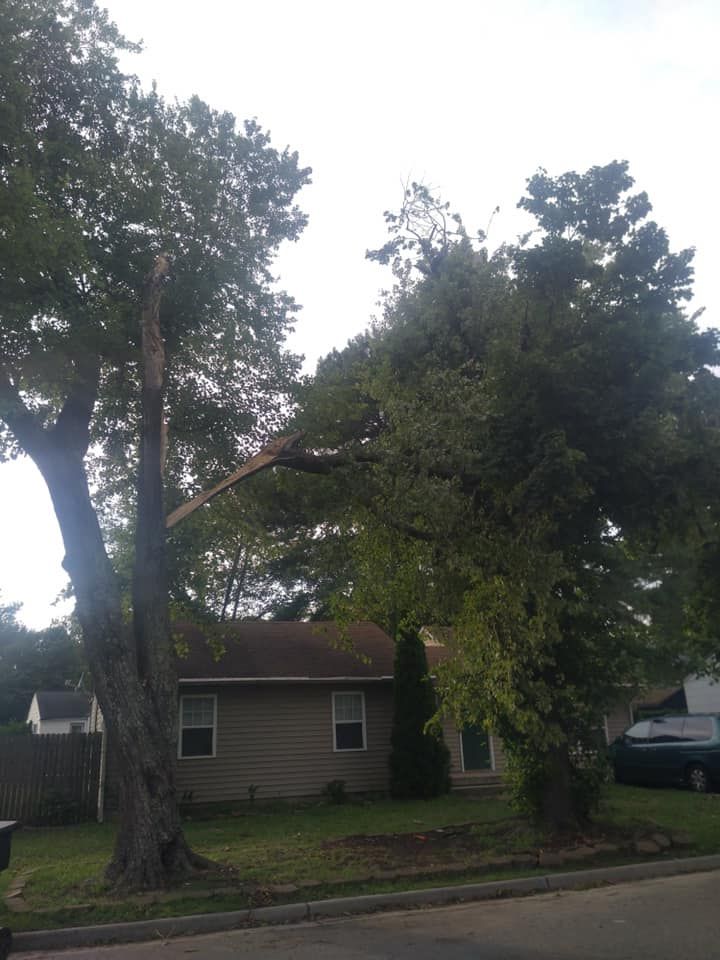 Hazard Removal - Grateful Tree Service LLC