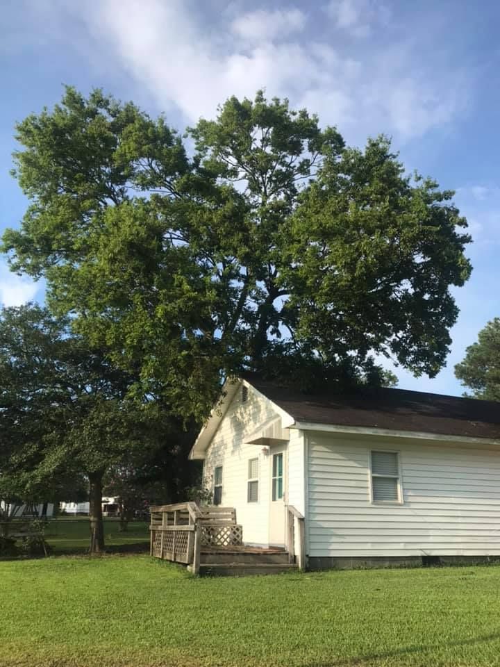 Tree Services - Grateful Tree Service LLC
