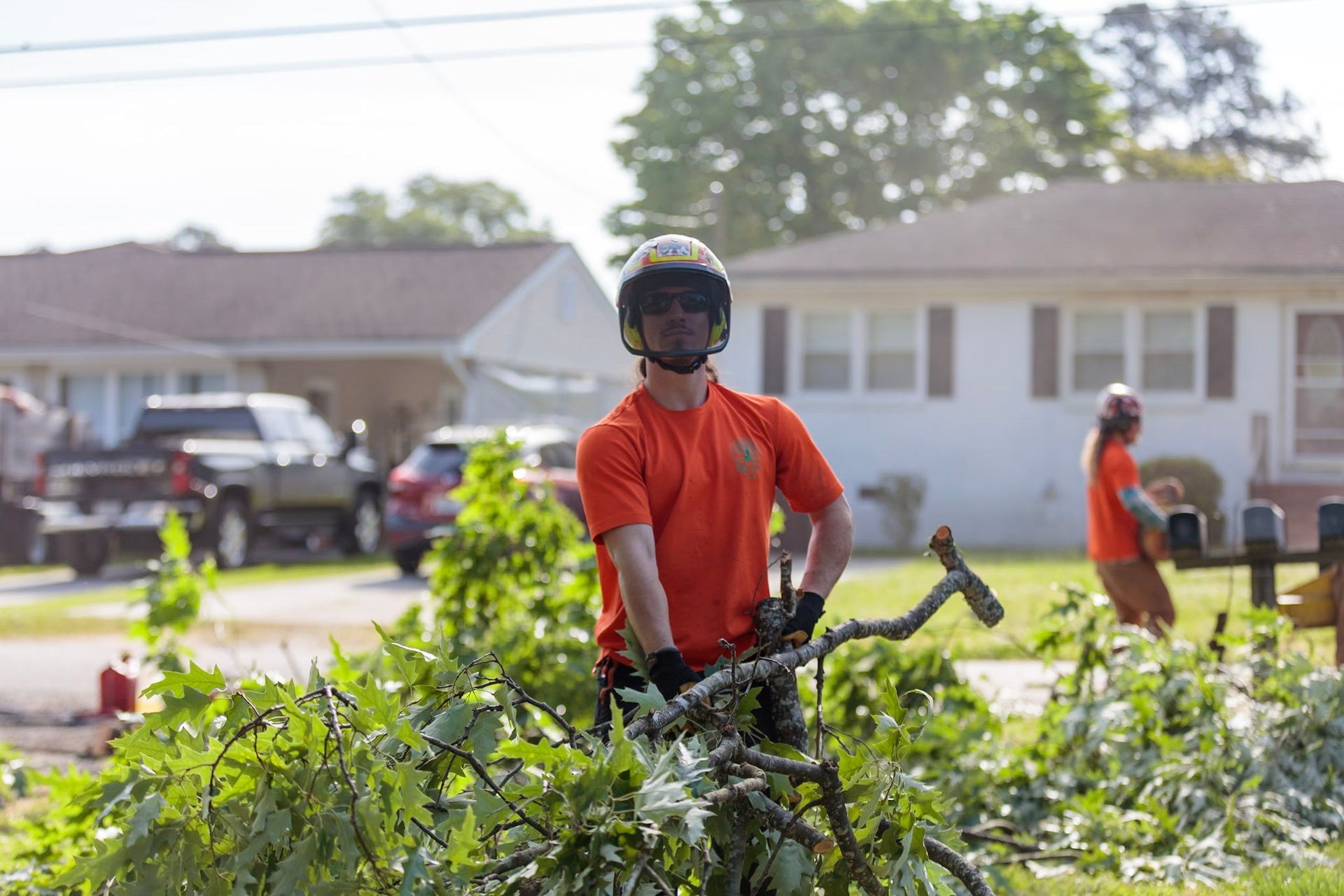 Apprentice Climber - Grateful Tree Service LLC