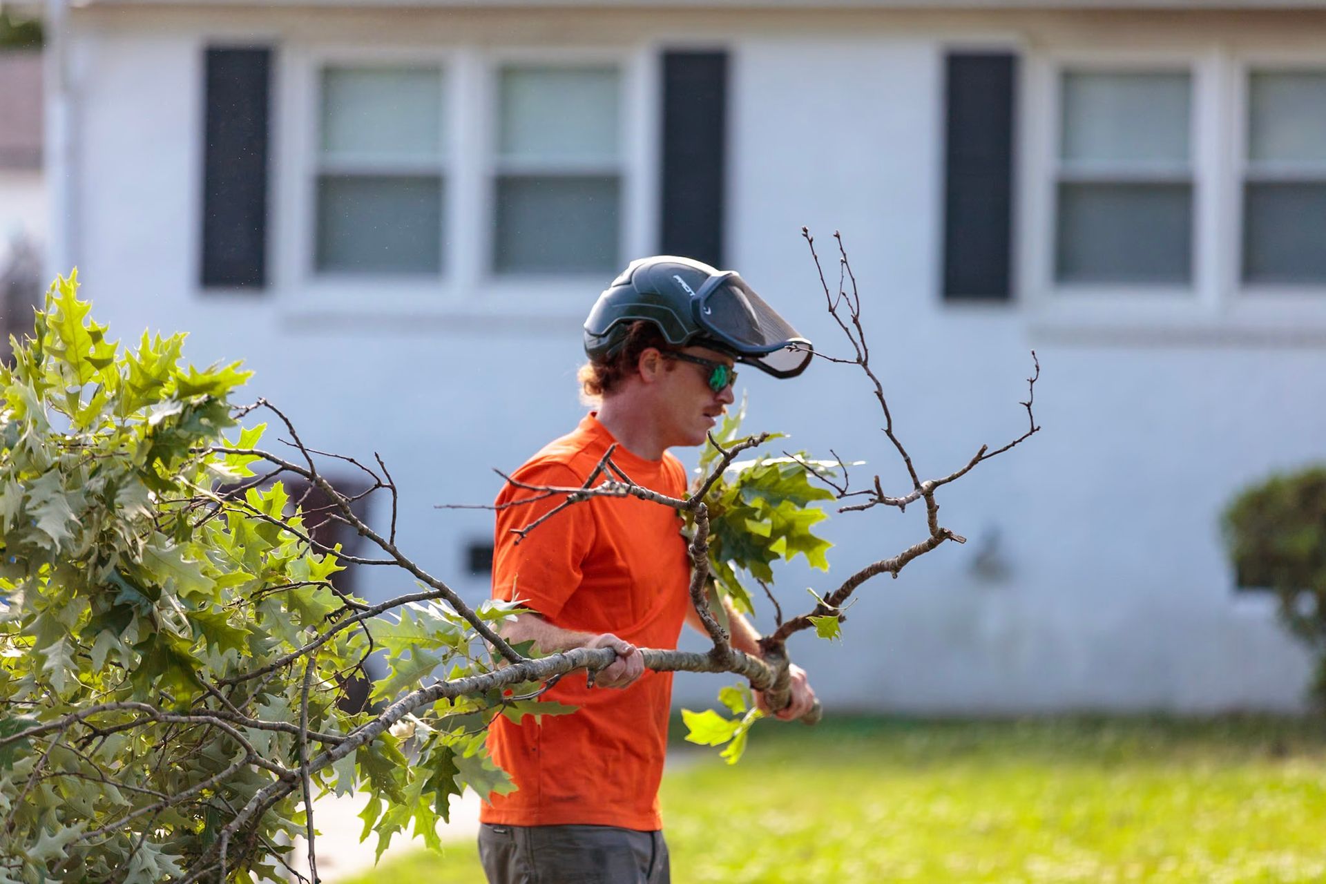 Foremen - Grateful Tree Service LLC