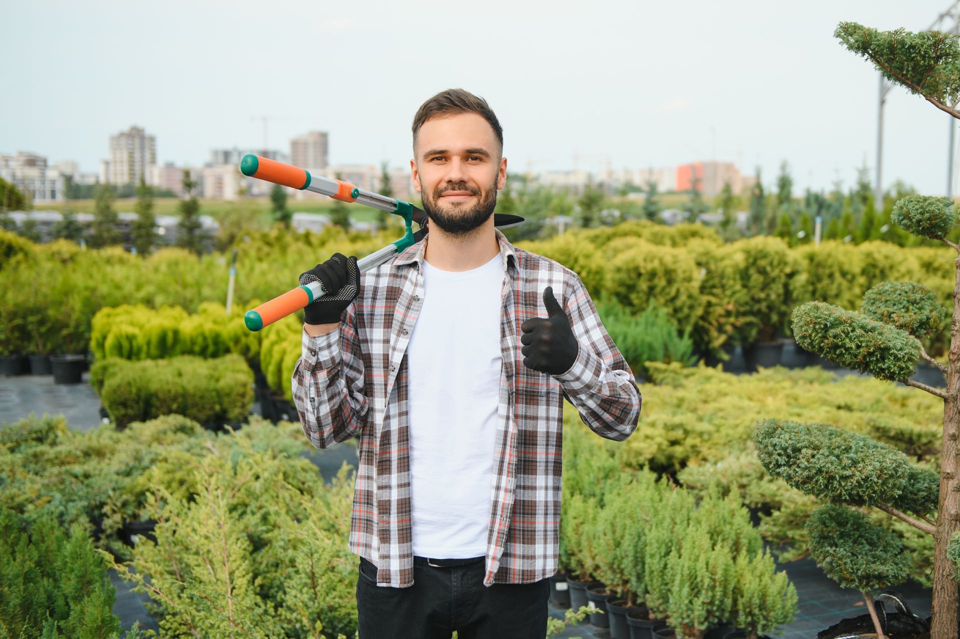 Gardener in plant nursery holding hedge trimmer and giving a thumbs up.