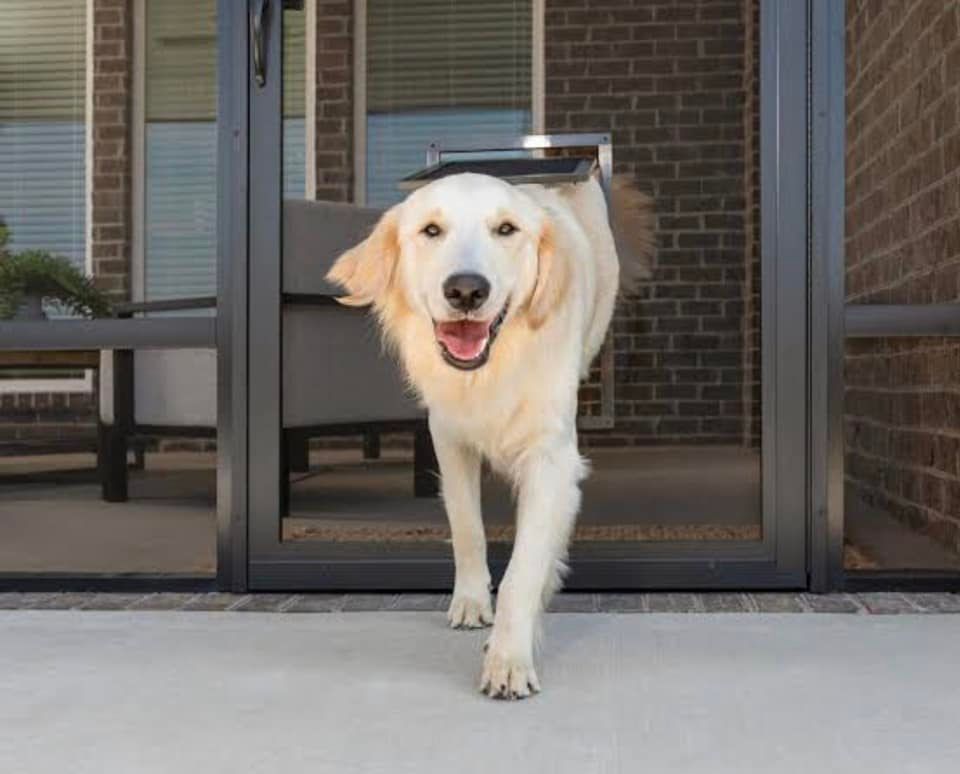 Door walking through pet door — Pet Doors in Dubbo, NSW
