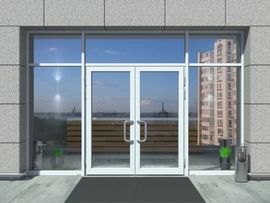 windows surrounding commercial door