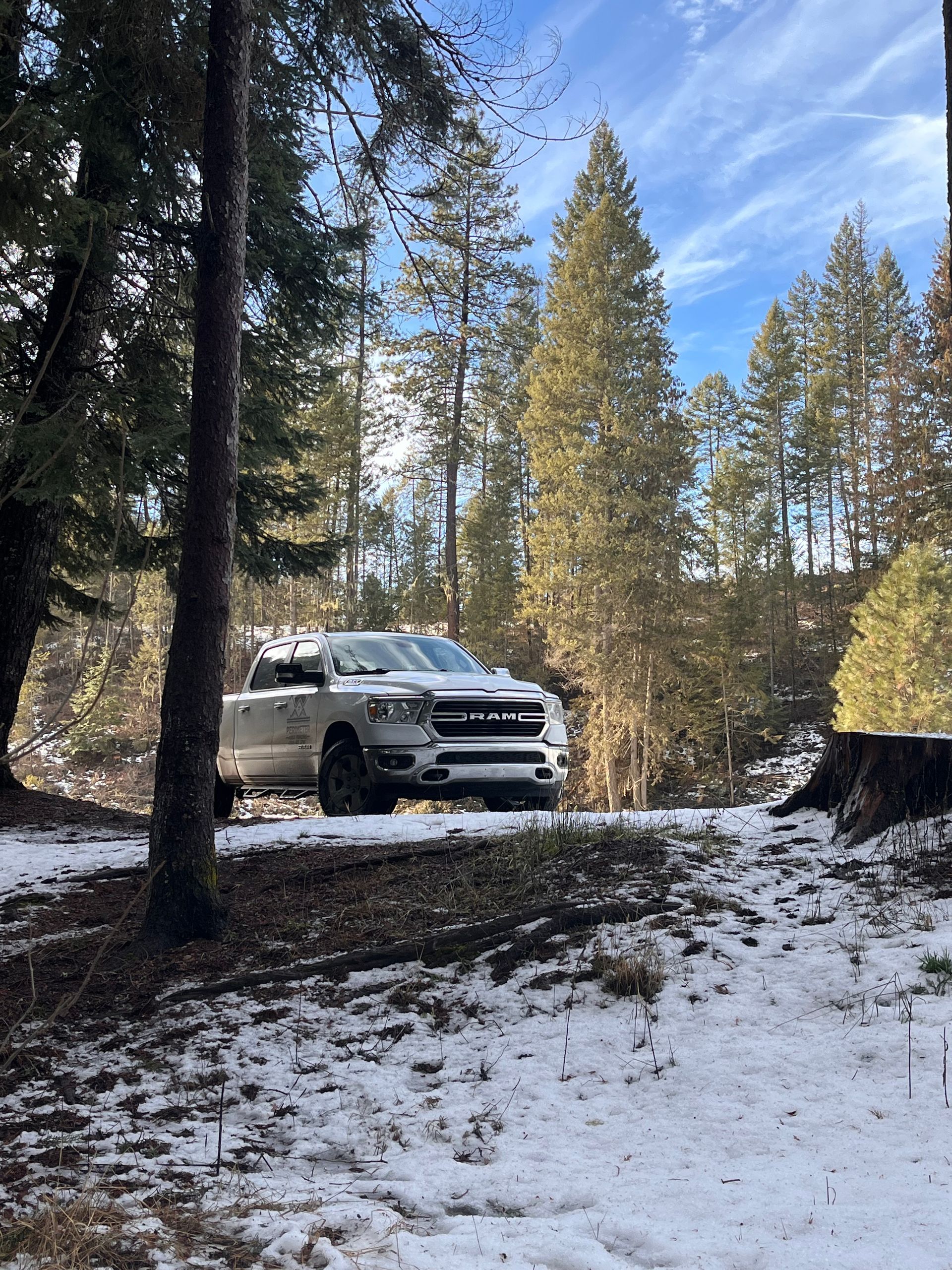 White SUV parked on a snowy forest trail among tall pine trees under a clear blue sky