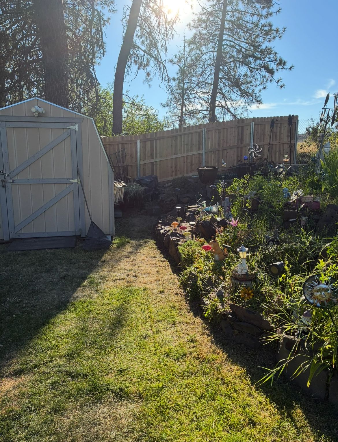 Sunny backyard garden with shed, wooden fence, grass path, and flower beds under a blue sky