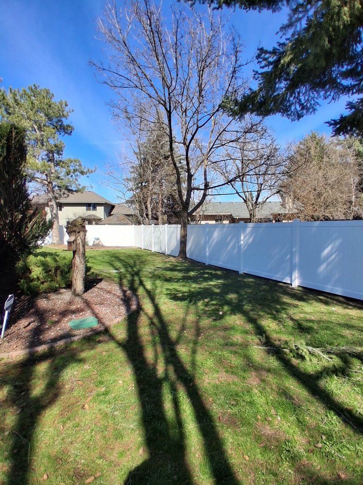 Sunny backyard with bare trees, green grass, and a white fence casting long shadows.