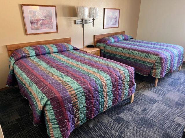 A hotel room with a bed, chairs, a table and a lamp.