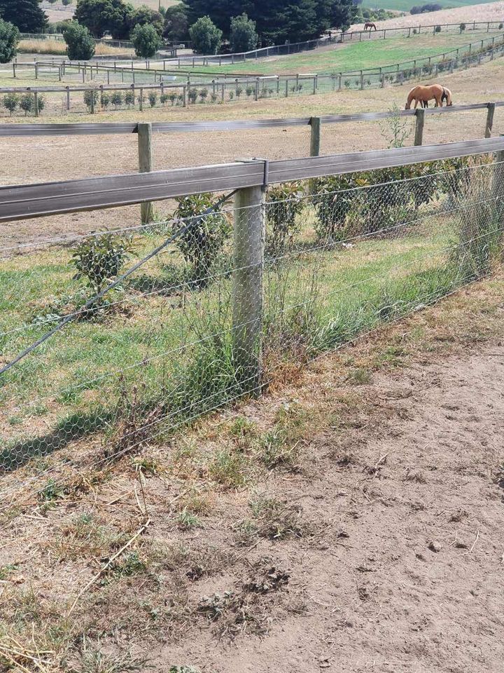 A horse is grazing in a field behind a wooden fence.