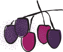 Cherries on a branch; purple and red with dot textures.