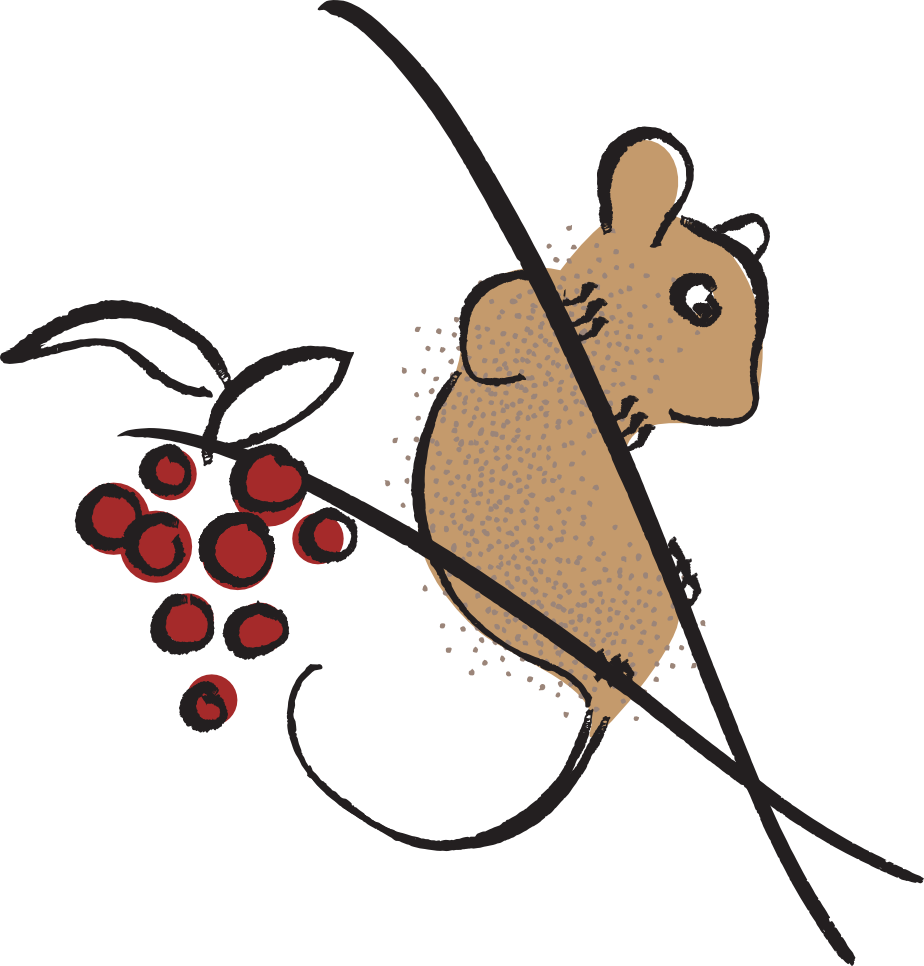 Cartoon brown mouse on a branch near red berries, climbing across a black diagonal line